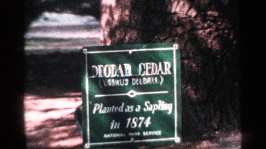 1964: a board with green color background and it looks a name and the year