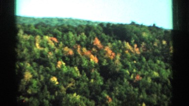1964: the countryside during autumn WEST VIRGINIA