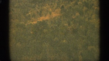 1965: beautiful forest at around nature DULUTH MINNESOTA