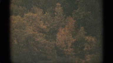 1965: the dark set of trees tightly together and crowded. DULUTH MINNESOTA
