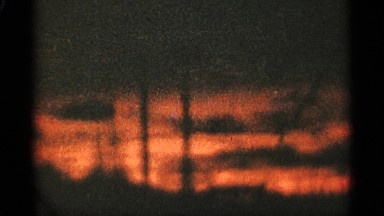 1965: if looks like a forest and at the night time some trees and plants