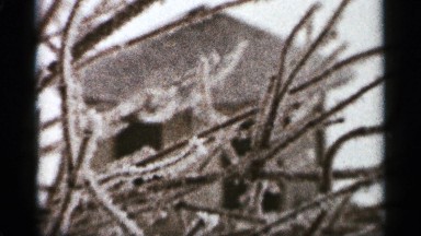 1965: the trees stick without leafs and a small hunt near to the place