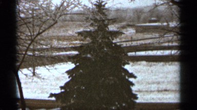 1965: cooling place in the nature view near to snow and big tree DULUTH