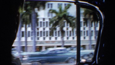 1958: Office Buildings Sitting Behind Beautiful Palm Trees. FLORIDA