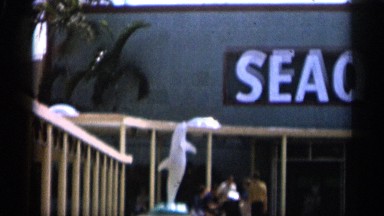 1958: a sign sits above welcoming visitors to an aquarium full of sea life