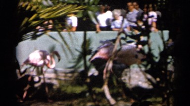 1958: the children are so enjoyable movement to this care of the longest device