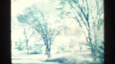 1959: Large Park Has Individual Trees Growing Tall From Flat Lawn Near Homes