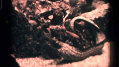 1958: a stone to change design near to sand morning time clear in the sky