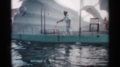1958: a dolphin dive a swimming pool and it go to near the sailor