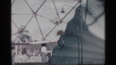 1958: a funny jump, dolphin trying to catch the food kept on a wire FLORIDA