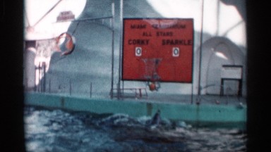 1958: a dolphin puts on a show for sailor shooting baskets into a hoop FLORIDA