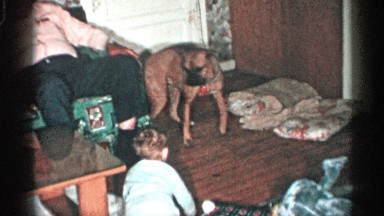 1955: leashed dog tries to reach young child as family watches NEW YORK