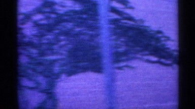 1959: a car slow drive in the residential area all house cover for the green