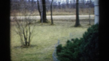 1959: a view of someone's backyard INDIANA