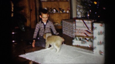 1959: a boy sits on the floor in and plays with his new puppy INDIANA