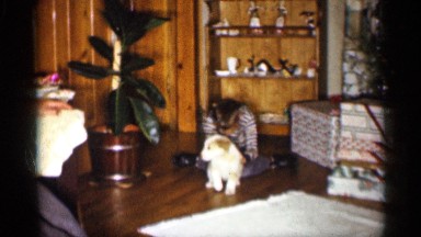 1959: a boy playing and hugging with his dog in his home and a dog trying to run