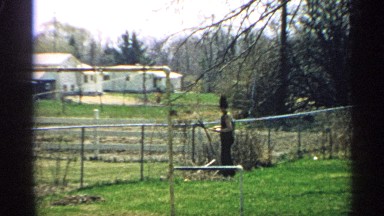 1959: beautiful nature place around the building in front of walls and compounds