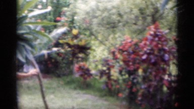 1959: beautiful nature place around the forest and men carrying an material