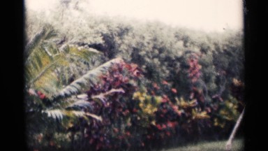 1959: a young boy running fast in a grassy area. CALIFORNIA