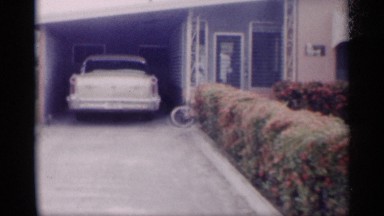 1959: a number of palm trees of various heights decorate a front lawn CALIFORNIA