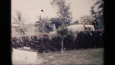 1959: A Garden, Car Parking Area, and House in California
