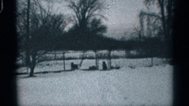 1959: the snow park watch two animals front to steel gate back side tree