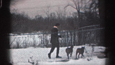 1959: man bringing bowls of food to two outside dogs in yard CALIFORNIA