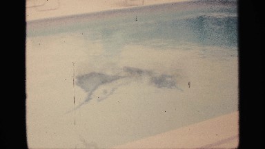 1959: big swimming pool drawing in the big fish in green color eye