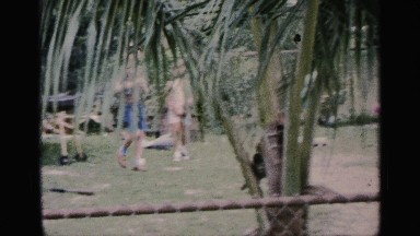 1959: people enjoying searching for eggs in the back yard FLORIDA