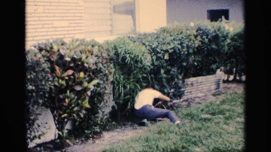 1959: boy picking up easter eggs and placing them in basket. FLORIDA