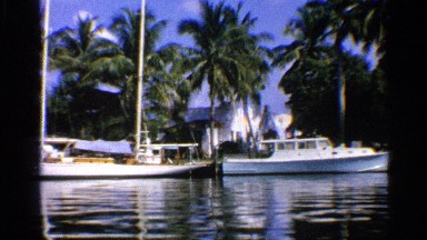 1959: boats been parked in river banks environ by trees FLORIDA