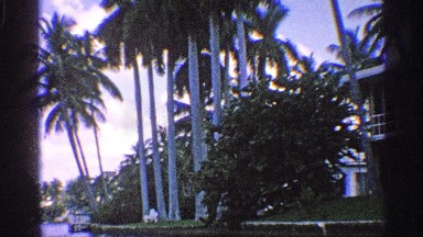 1959: a view of palm trees and a house while boating down a river. FLORIDA