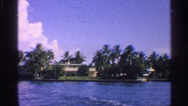 1959: lakefront homes with palm trees FLORIDA
