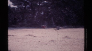1973: a beautiful of beach in nature and awesome kids are playing in sand