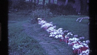 1969: a row of pretty red and white flowers decorate a lawn on a cloudy day OHIO