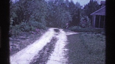 1969: the cottage house in the forest center place fully tree in the area