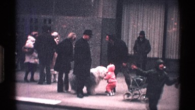1971: baby child greets dog on a busy city street with parents