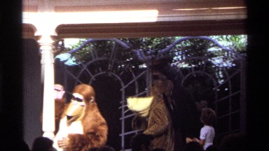 1974: a music show going on with many people watching the funny characters