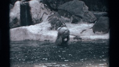 1969: bear playing in a pool of water while tossing a broken bucket