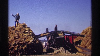 1969: Farmers Forking Hay Onto Conveyor Belt in Jordan Minnesota