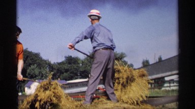 1969: Two Mature Men Use Pitchforks to Move Loose Hay Onto Conveyor Belt Mabel
