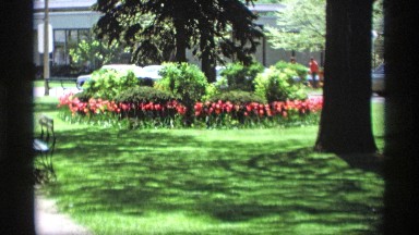1969: the park is very green grasses and tree another place road go to car