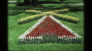 1969: Beautifully Laid Flower Garden Decoration in a Park, HOLLAND MICHIGAN