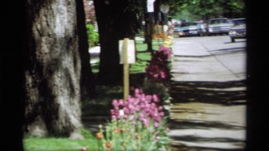 1969: the car slow run road near nature view go green grasses back side