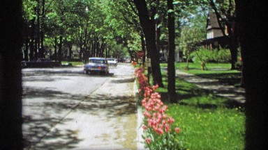 1969: sunny day on a street with cars HOLLAND MICHIGAN