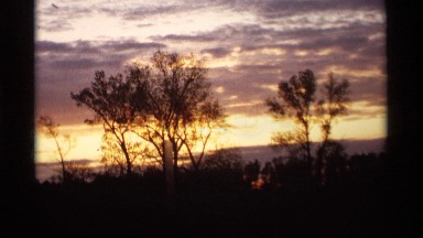 1969: beautiful view of nature sunset in colorful sky through the trees