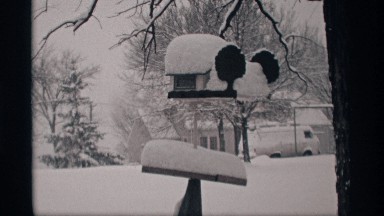 1969: snow pulls down branches of evergreen tree and covers bird feeders