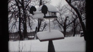 1966: island snow in the tree putting the place go to the car near road morning