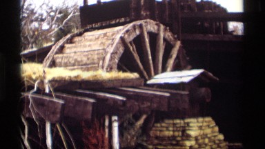 1966: old vehicle on the forest MADISON WISCONSIN