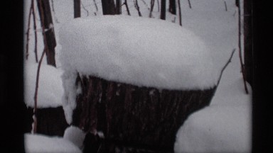 1966: it's a winter season time where all trees and everything is covered